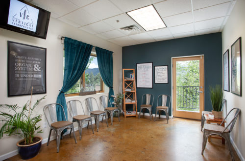 office in durango, co, appointment in Durango, tranquil office space near purgatory resort, snow, skiing, chiropractic, hiking, tast of durango, offices, back pain, gonstead chiropractic, blue, wood floors, sunshine, light