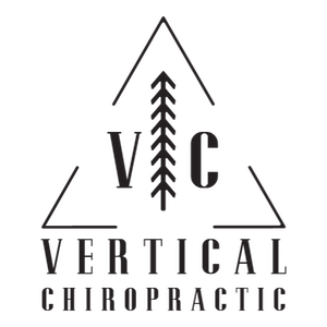 logo, durango chiropractor, chiropractor in durango, spinal adjustment, spinal health, back pain relief, necl pain relief, grapic design for chiropractor, durango's leading gonstead chiropractor, chiropractor in southwest co, north main in durango, co 